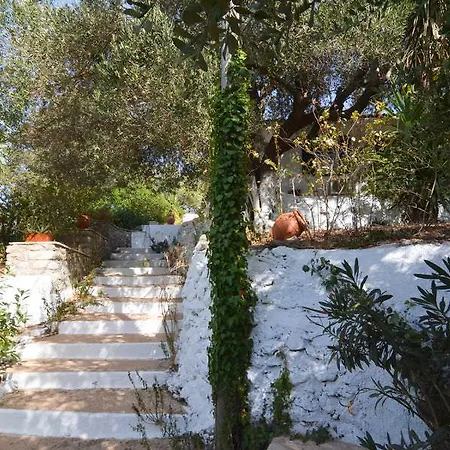 Erigonissimirishouse Perachori