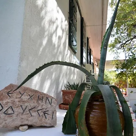 Erigonissimirishouse Perachori